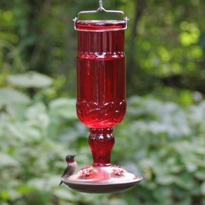 💕 Perky-Pet 💕 Red Antique Bottle Hummingbird Fe